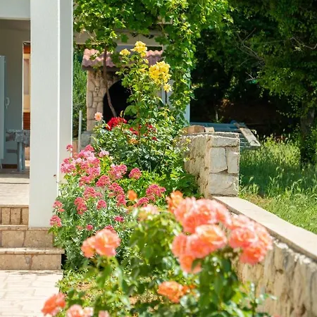 Apartamento Andreja *