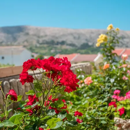 Apartamento Andreja Pag Town