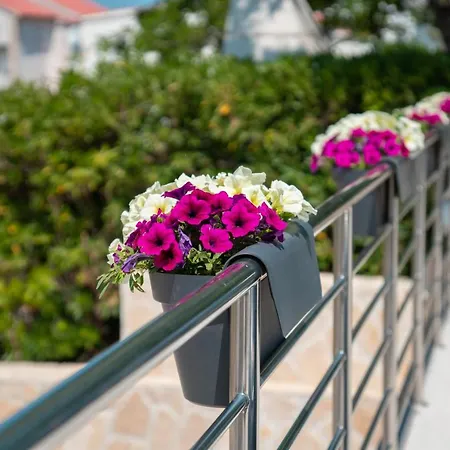 Apartament Andreja Pag Town
