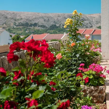 Andreja Apartament