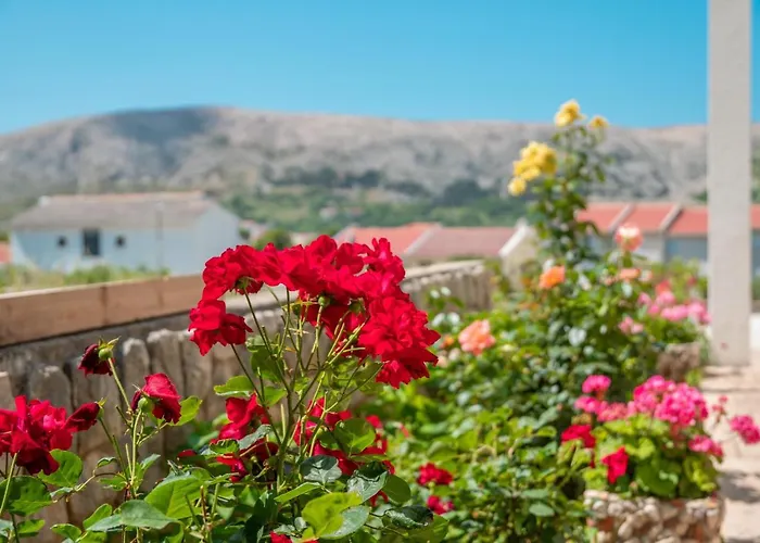 公寓 Andreja 帕格